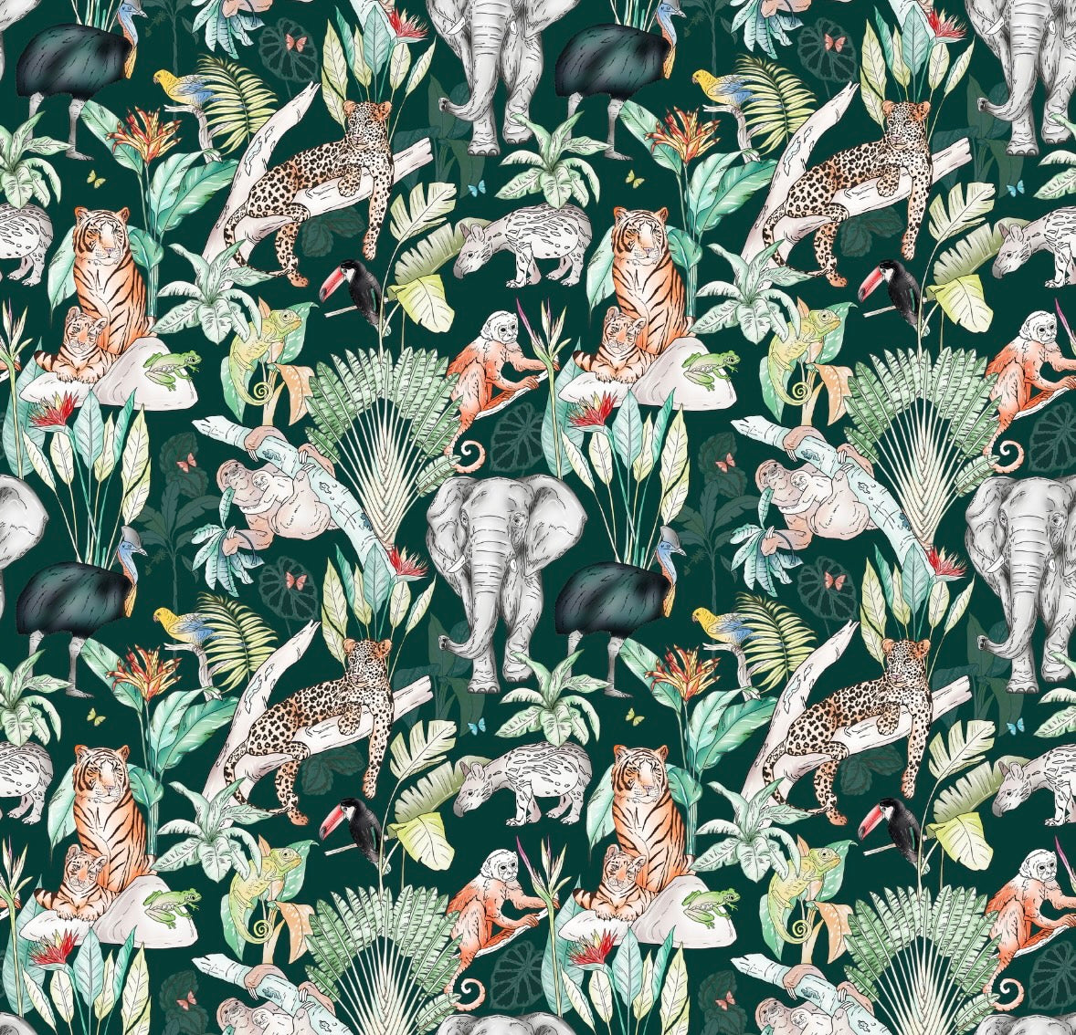 Rainforest