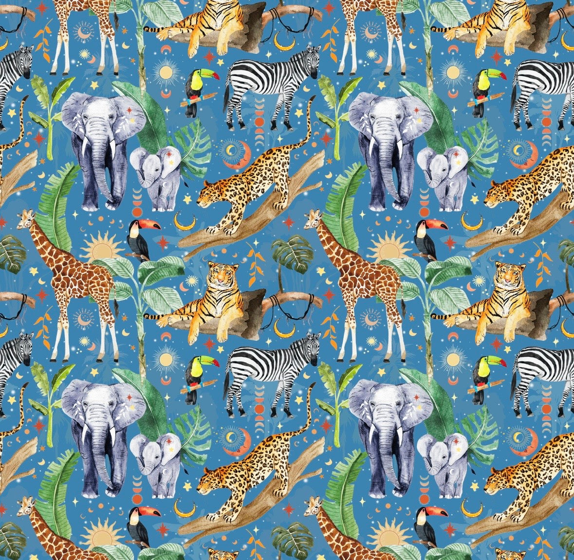 Safari