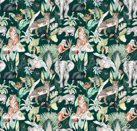 Rainforest