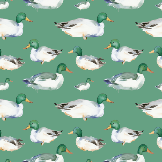 Pond Ducks