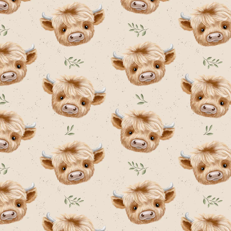 Highland cow