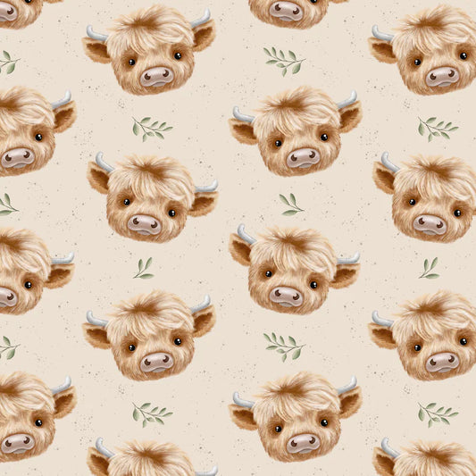 Highland cow