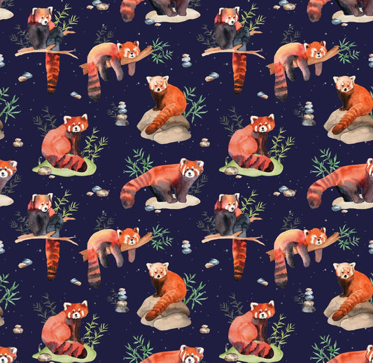 Red panda